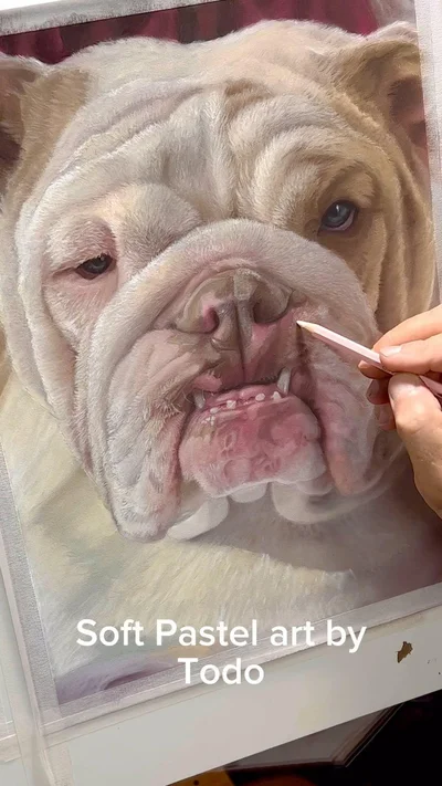 Todo Ink tattoo ig_007