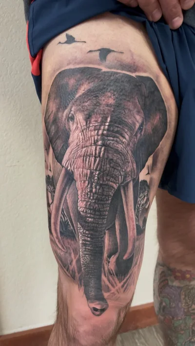 Adler tattoo ig_022