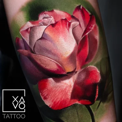 Alexander tattoo ig_024