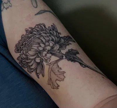 Brücius tattoo ig_011