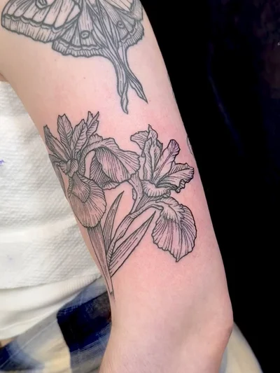 Caesar Bacchvs tattoo ig_015