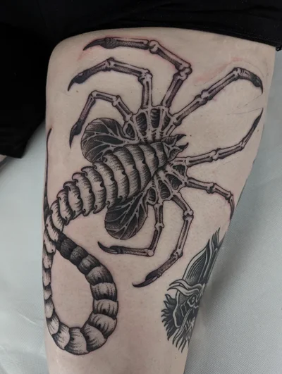 Calina Hain tattoo ig_008