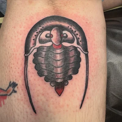 Douglas Lamb tattoo ig_018