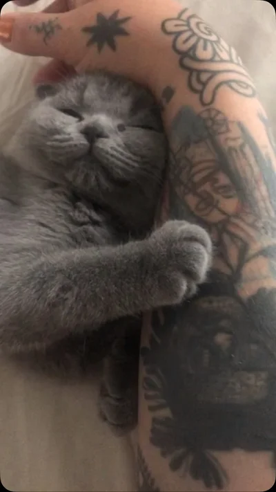 Federica Madonna tattoo ig_018