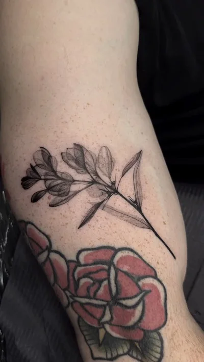 hiba tattoo ig_010