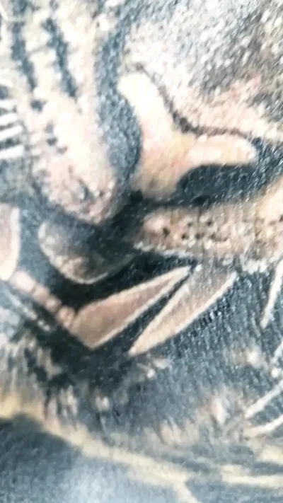IVONA - TATTOOARTIST🇷🇺 tattoo ig_021