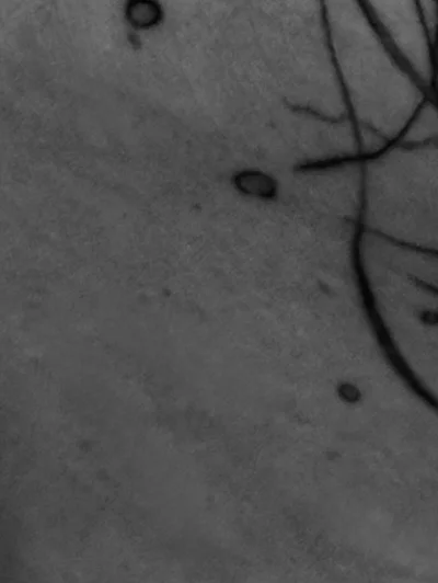 JcaTattoo tattoo ig_007