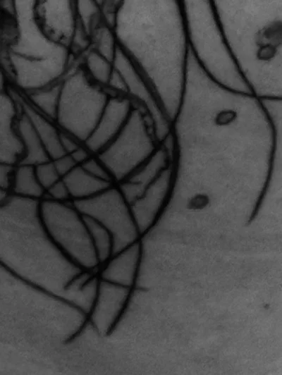 JcaTattoo tattoo ig_008