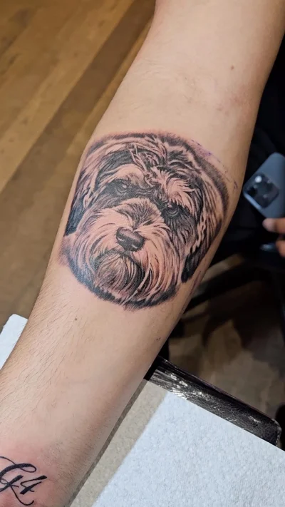 Jim Lynch, Drizzle tattoo ig_008