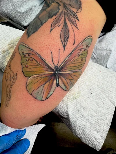 jonhighland tattoo ig_024