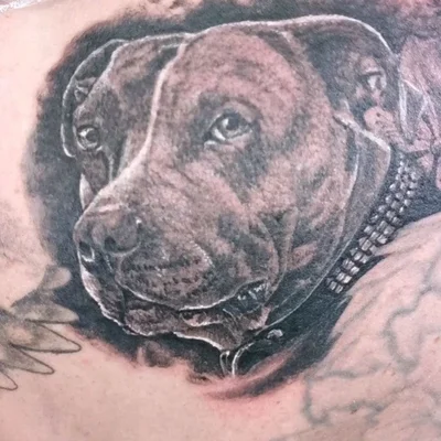 A Jos Knevels tattoo ig_008
