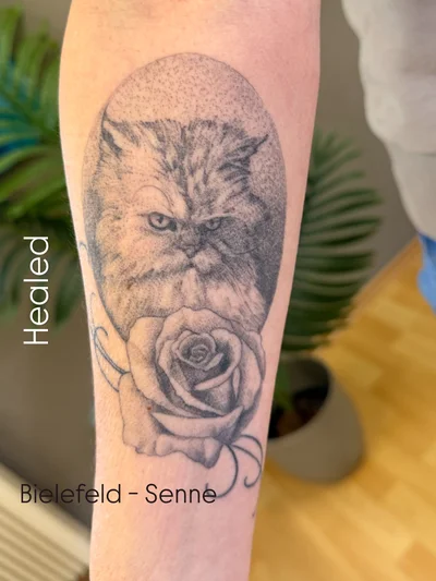 Die Ivo • KÖRPER STAHL TATTOO tattoo ig_013