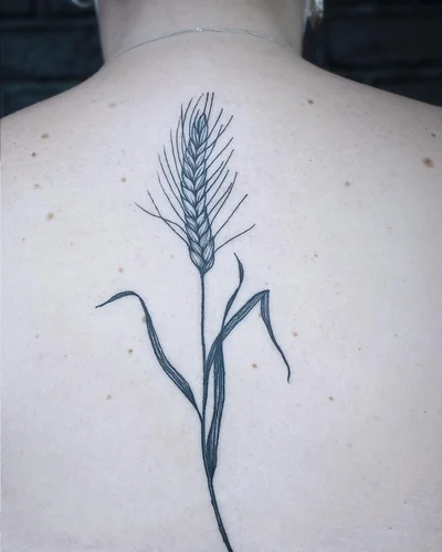 LA LIGNE SAUVAGE tattoo ig_021