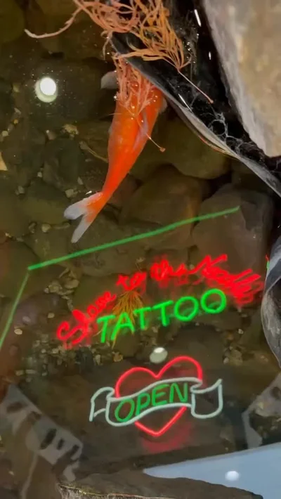 𝔏𝔦𝔫𝔡𝔰𝔢𝔶 ℜ𝔥𝔬𝔞𝔡𝔢𝔰 tattoo ig_011