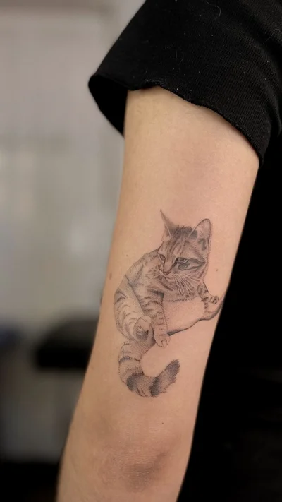 Puntillismo / Dotwork tattoo ig_007