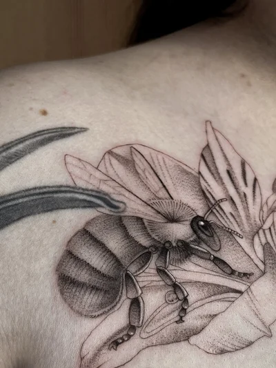 Puntillismo / Dotwork tattoo ig_011