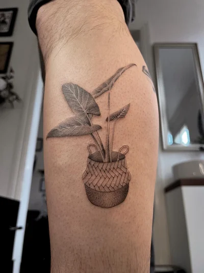 Puntillismo / Dotwork tattoo ig_017