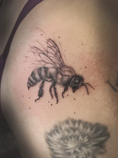 ᴛᴀᴛᴛᴏᴏ sᴛᴜᴅɪᴏ ɪɴ sᴄʜᴡᴇʀɪɴ tattoo ig_010