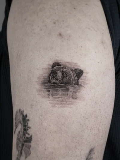 Meerkat by Barni Benyovszky tattoo ig_018