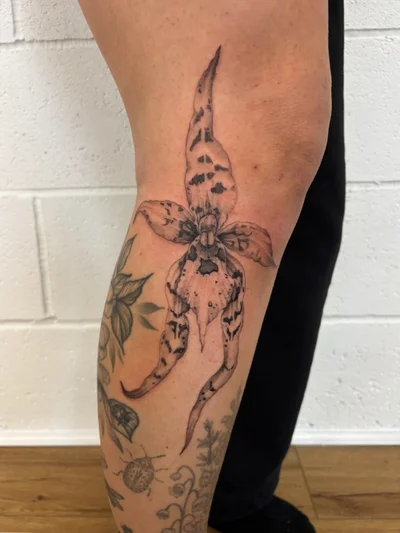 Meg Langdale Tattoo tattoo ig_010