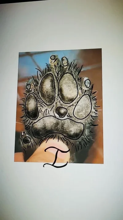 David MeleRock | Tattoo Artist tattoo ig_016
