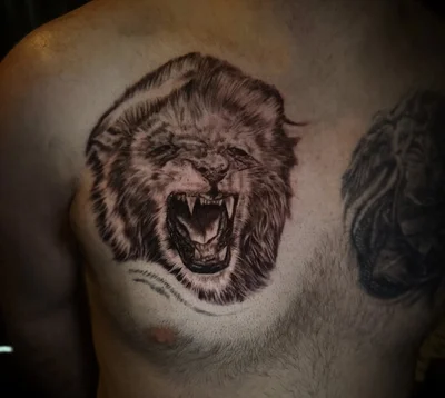 Owl tattoo ig_010