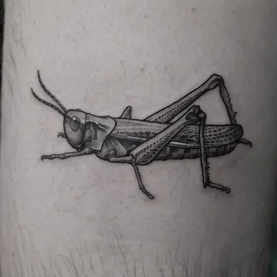 Pixie Cat tattoo ig_016