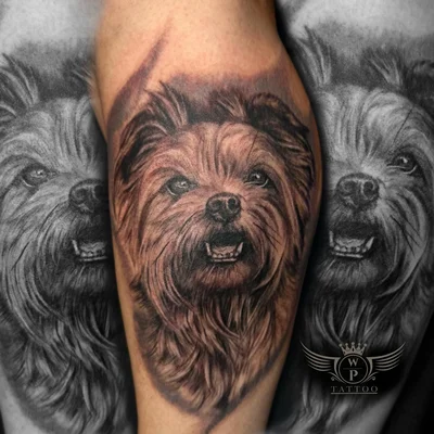 Piotr Wypych B62 Tattoo Studio tattoo ig_007