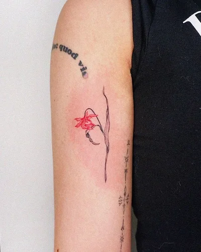Roda tattoo 040