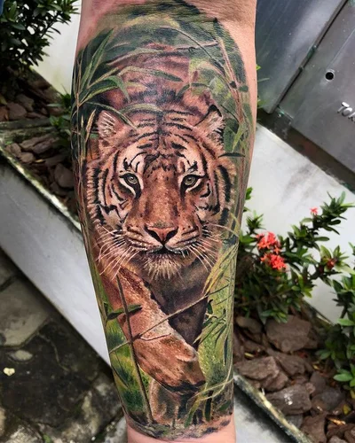 Rodrigo Koala tattoo 042