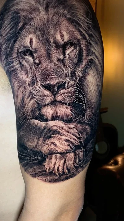 Rodrigo Koala tattoo 049
