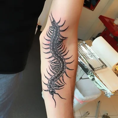 Roland Pacheco tattoo 029