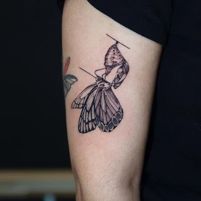 Diego Romay // Floral / Ornamental Tattoos tattoo 049