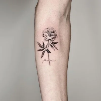 Rose'a'Line Tattoo tattoo 035