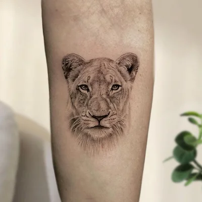 Rose'a'Line Tattoo tattoo 040