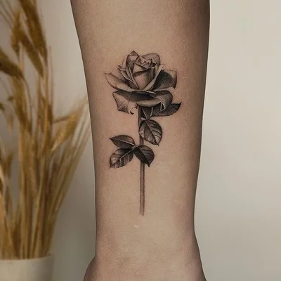 Rose'a'Line Tattoo tattoo 042