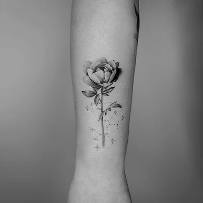Rose'a'Line Tattoo tattoo 045
