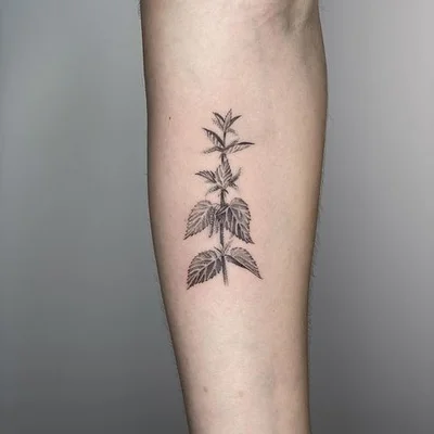Rose'a'Line Tattoo tattoo 050