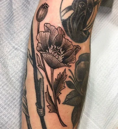 Rose & Crown Tattoos tattoo 023