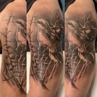 Trevor Jameus tattoo 023