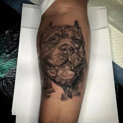 Roy Gonzalez tattoo 009