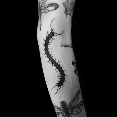 Roy Veksler tattoo 045