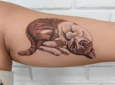 Roza tattoo 014