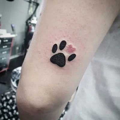 Rogério Shiratori tattoo 017
