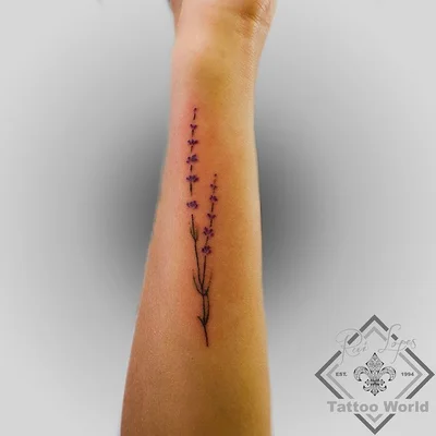 Rui Lopes tattoo 017