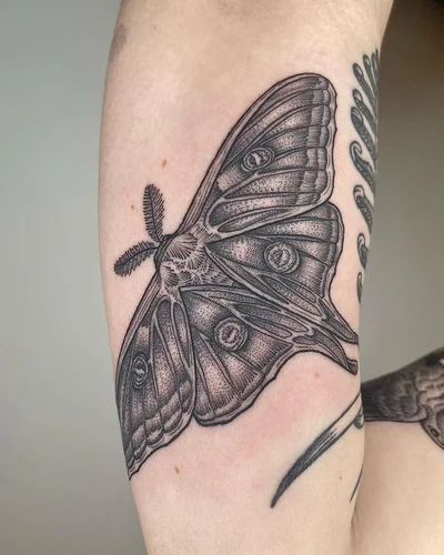 Ryan Roi tattoo 038