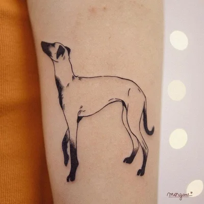 Tony Hache tattoo 014