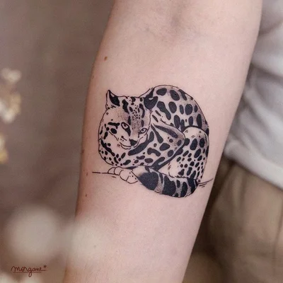Tony Hache tattoo 030
