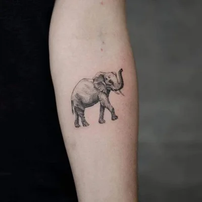 Tony Hache tattoo 045