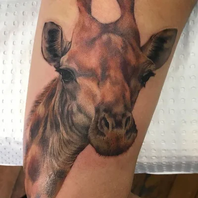 Sacred Skin Tattoo tattoo 020